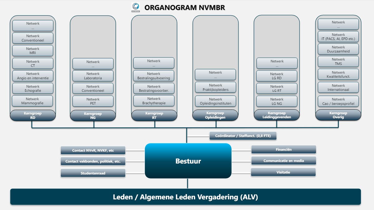 Organisatiestructuur.jpg